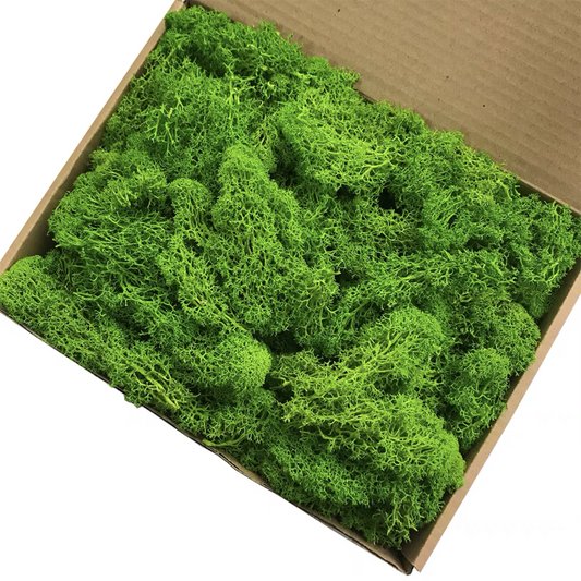 【moss】grass moss leaves for DIY craft